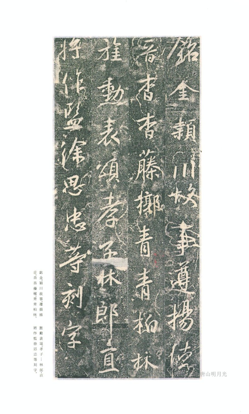 兴福寺断碑 - 原色法帖选 18：兴福寺断碑