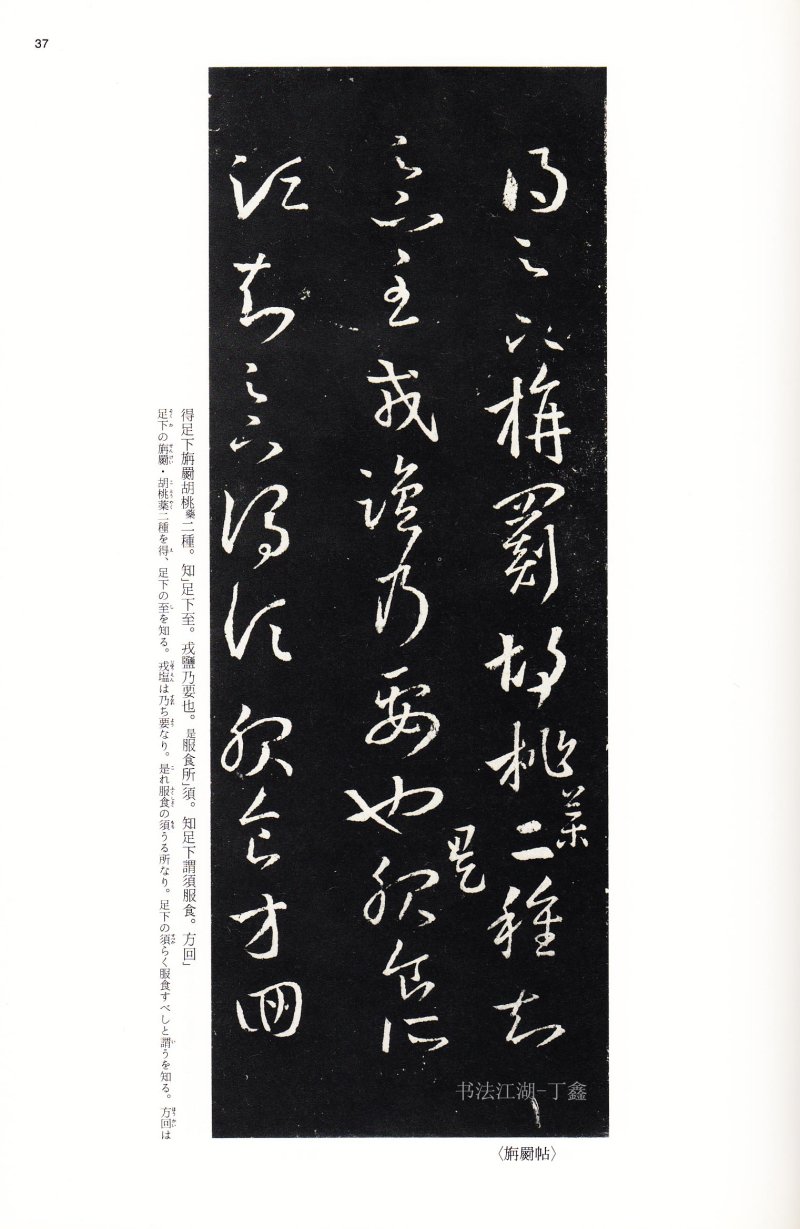 十七帖 - 14 中国法书选_14_十七帖二种