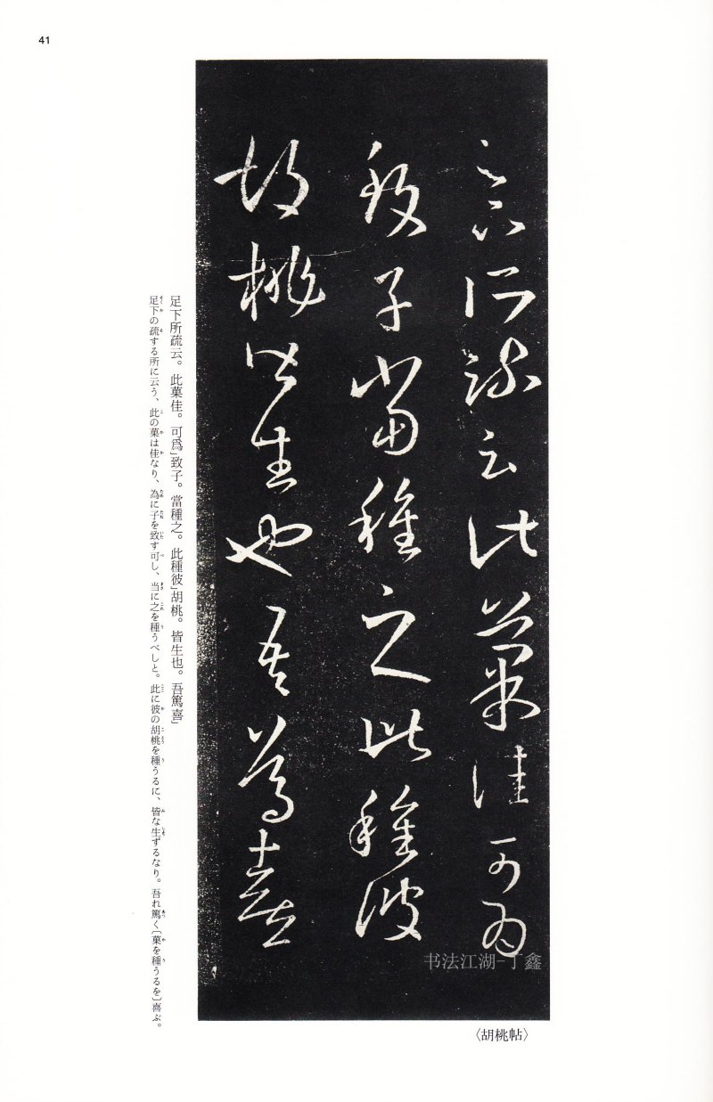 十七帖 - 14 中国法书选_14_十七帖二种