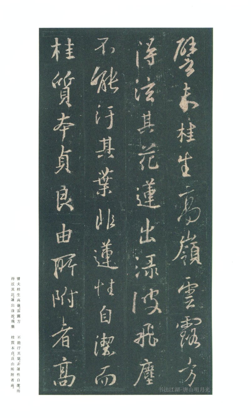 圣教序 - 原色法帖选 03：集字圣教序〈朱卧庵本〉