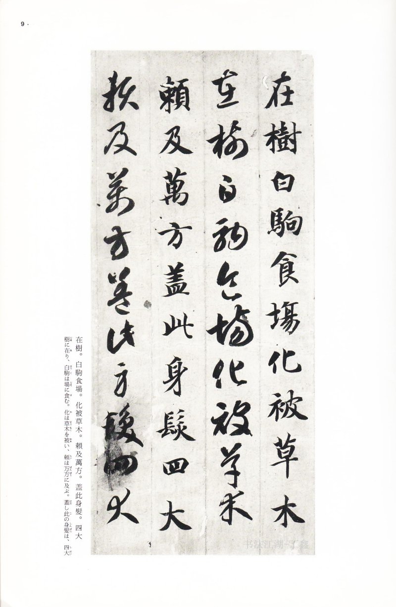 二玄社中国法书智永真草千字文 - 默认版本